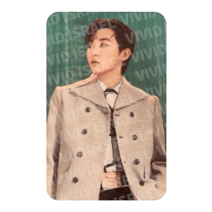 SEVENTEEN SEUNGKWAN – TELEPARTY Weverse Photocard
