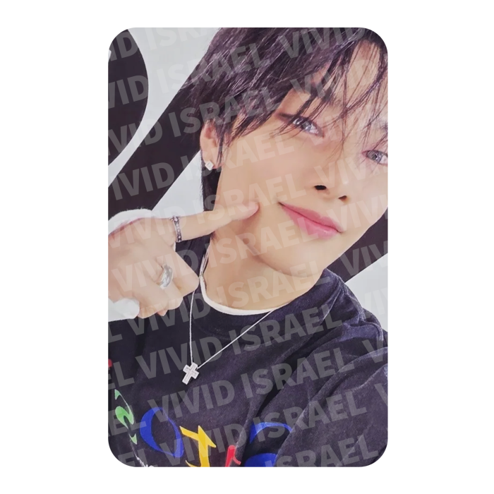 STRAY KIDS I.N – dominATE celebrATE World Tour Photocard
