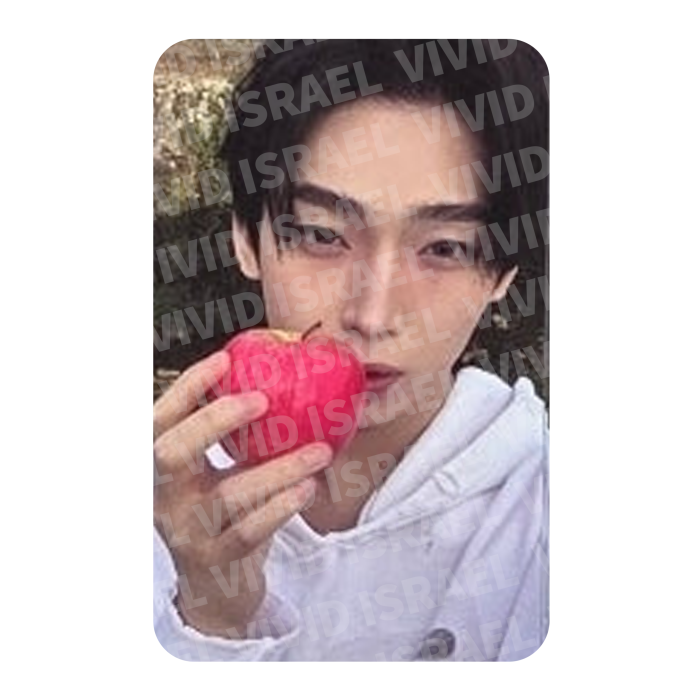 ENHYPEN SUNOO – THE SIN : VANISH Fugitive ver. Photocard4