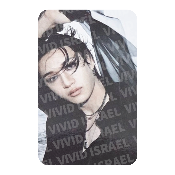 STRAY KIDS BANG CHAN – DO IT Nemo Photocard