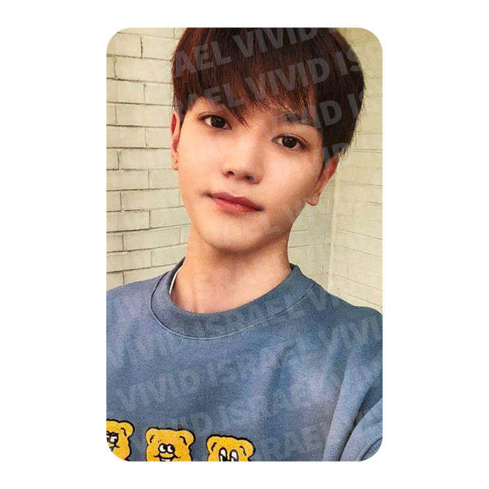 NCT TAEYONG - SLOWACID X TEDDYISLAND Photocard