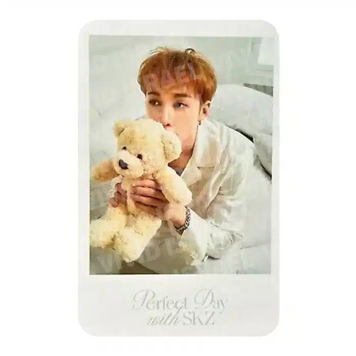 STRAY KIDS BANG CHAN – Perfect Day with SKZ Polaroid Photocard