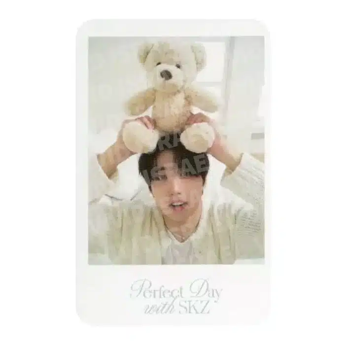 STRAY KIDS HAN – Perfect Day with SKZ Polaroid Photocard