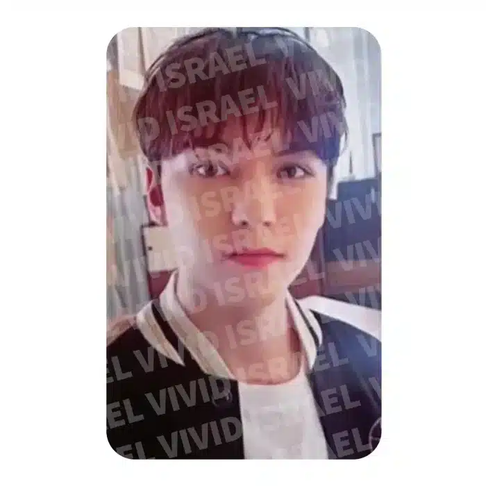 SEVENTEEN VERNON – SEVENTEEN in CARAT LAND 2024 DVD Photocard
