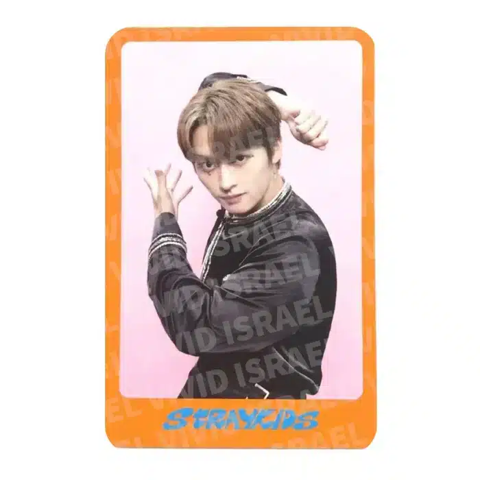 STRAY KIDS LEE KNOW – DICON Photocard