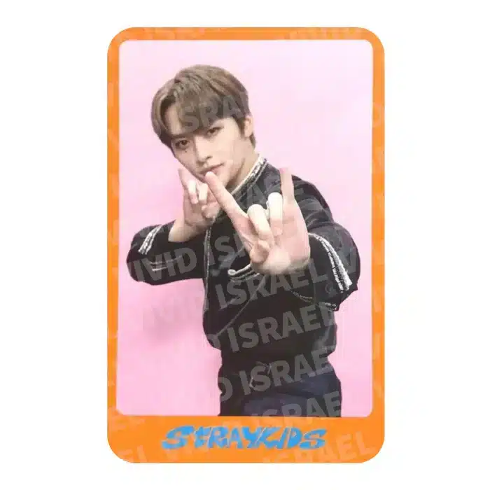 STRAY KIDS LEE KNOW – DICON Photocard