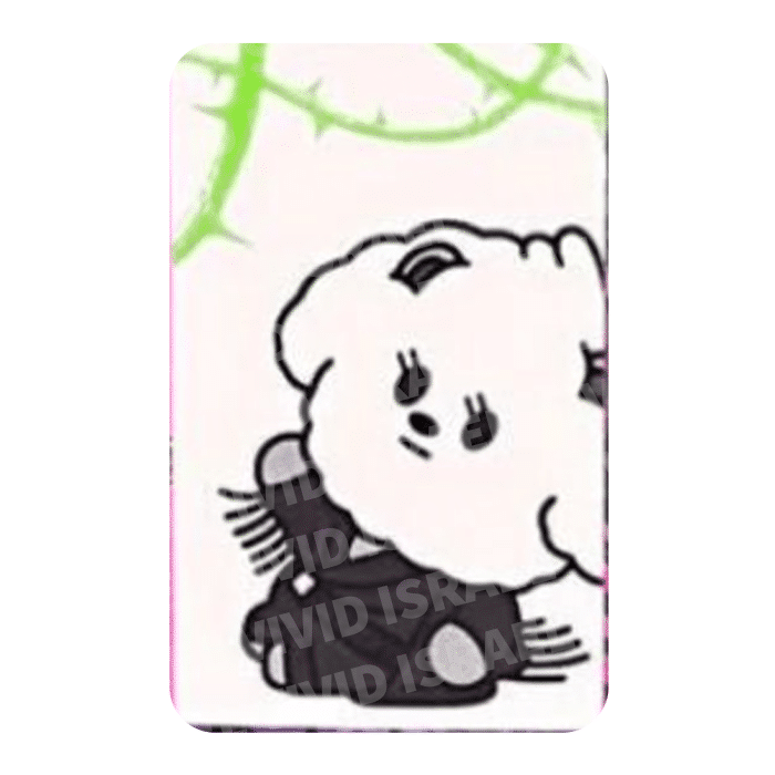 TXT BEOMGYU - 7TH YEAR Weverse version Photocard